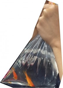 垂水海神社祭りの金魚すくい